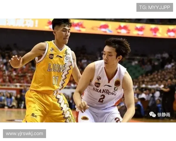 武汉篮球队整体压制战术解析与深度剖析